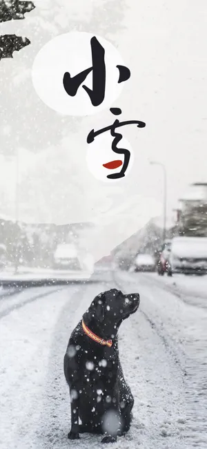 抬头望见漫漫雪花飘
