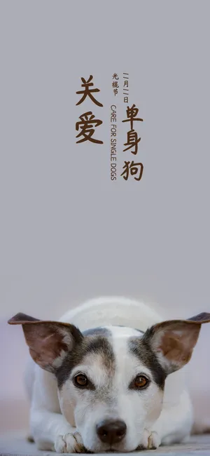 11月11日,单身狗也过节