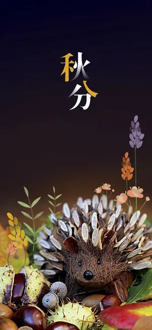 秋分可爱的刺猬第1张