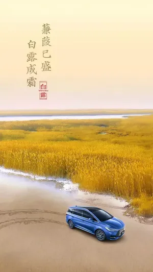 蒹葭已盛，白露成霜第1张