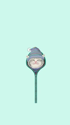 戴帽子的搞笑猫第1张