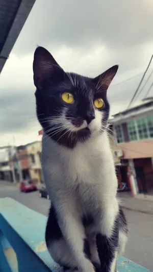猫眼睛 天空