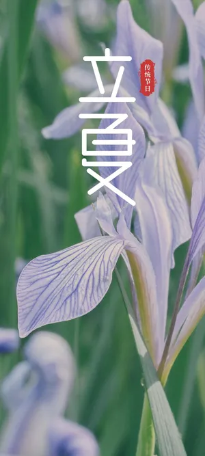 立夏时节已至