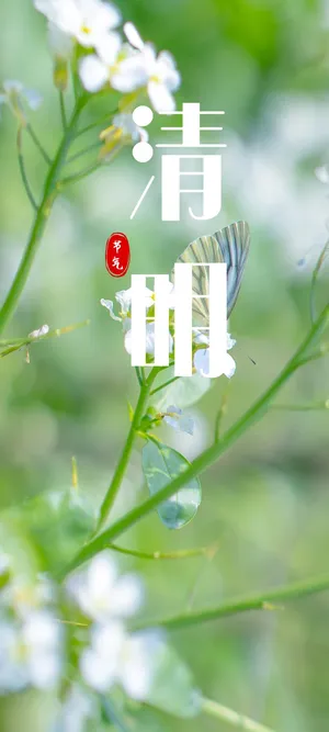 清明节气清新锁屏