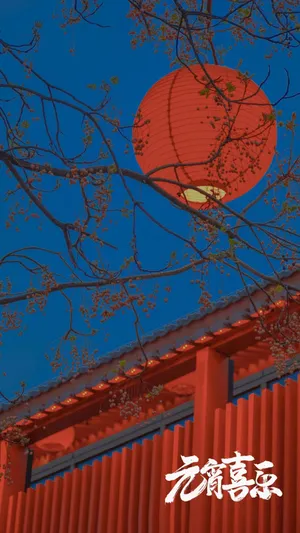 元宵节观赏花灯第1张