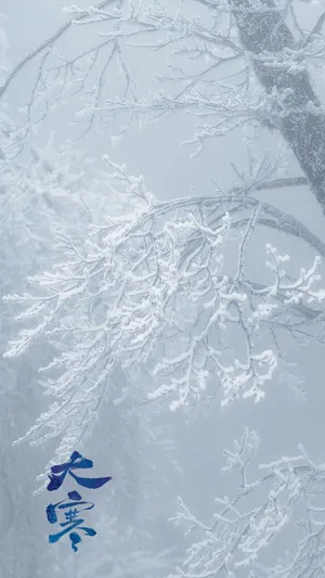 大寒时节唯美冬天雪景风光