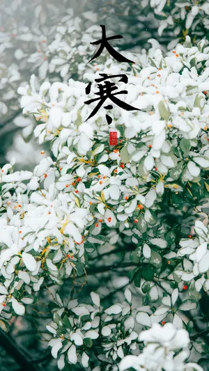 中国传统节日大寒时节清新雪景_1