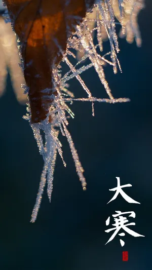 二十四节气之大寒时节第1张