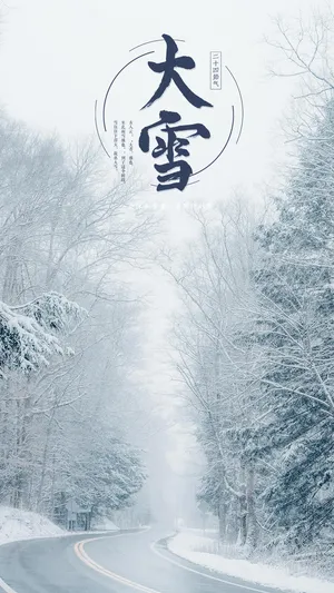 大雪时节迷人公路雪景