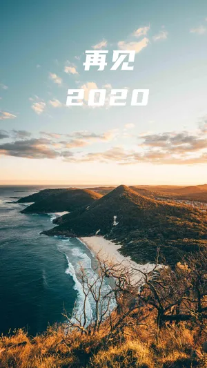 向2020说再见