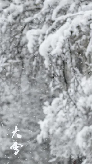 24时节大雪优美雪景
