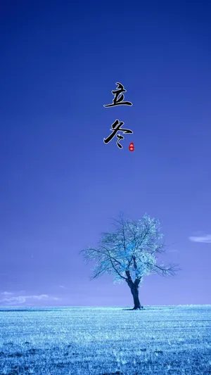 立冬时节唯美冬天雪景风光