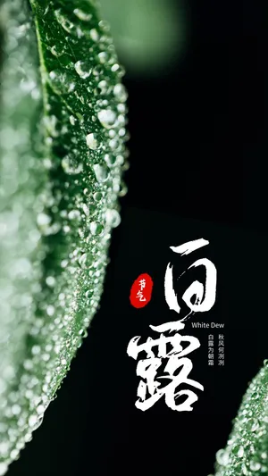 白露节气绿色护眼配图