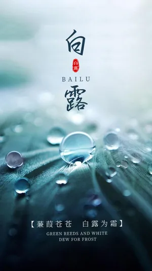 24节气之白露意境配图