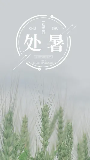 2020处暑将至第1张