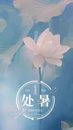 处暑节气清新淡雅莲花写真第1张