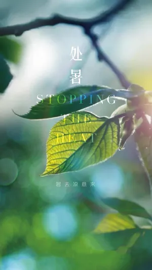 处暑节气小清新绿色护眼配图第1张