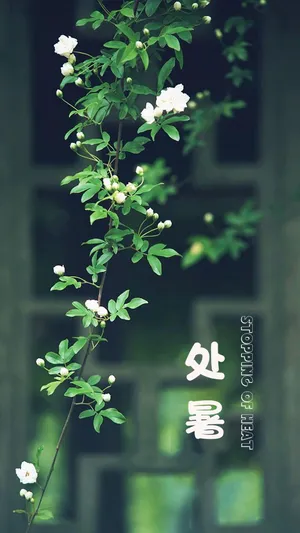 唯美意境处暑节气第1张