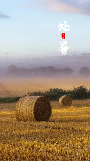 传统二十四节气之处暑第1张