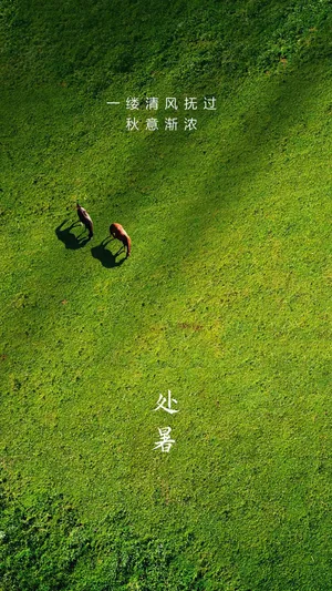 小清新的处暑时节