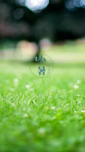 夏日炎炎二十四节气之小暑