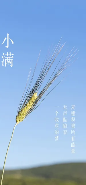 唯美清新的24时节小满