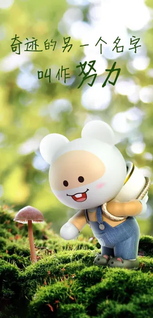 奇迹的另一个名字叫努力第1张