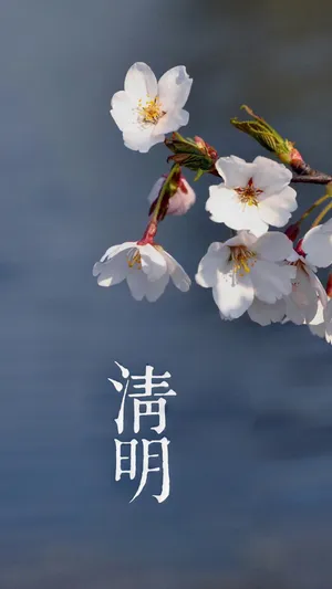 最清新的24时节清明节到来第1张