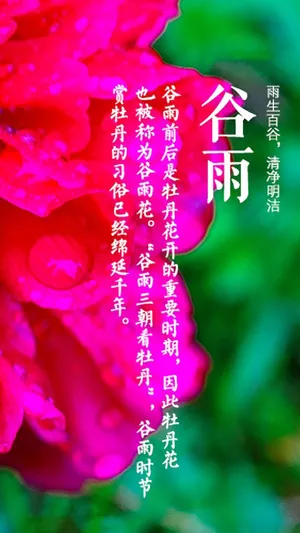 小清新谷雨时节到来第1张