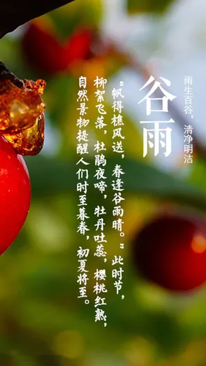 雨生百谷,清净明洁第1张