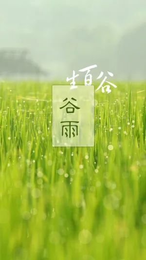 生百谷,谷雨到