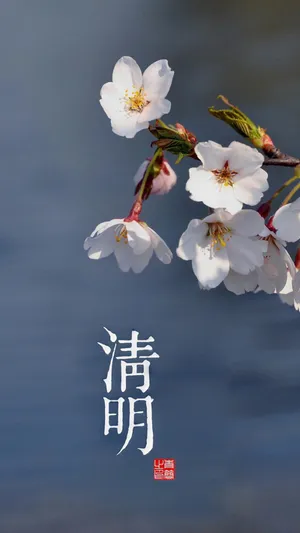 清明时节.好春光