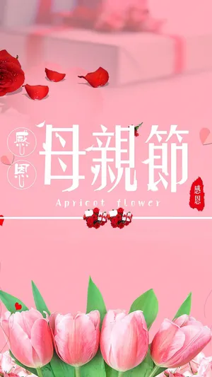 母亲节感恩妈妈_1