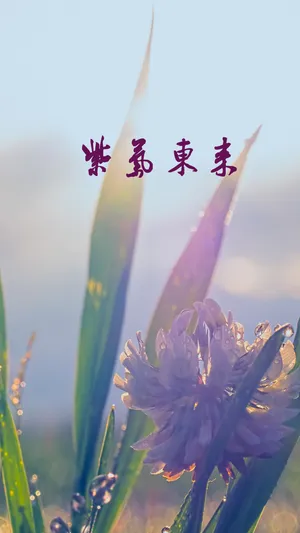 猪年到 紫气东来_1