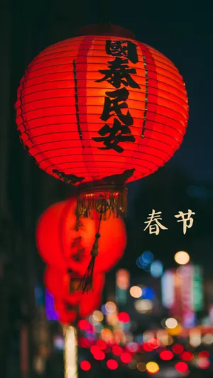 春节到了,灯笼高高挂