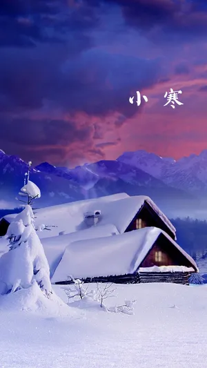 小寒时节的唯美雪景