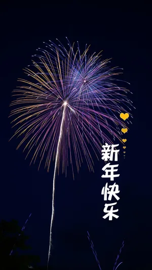 放烟花迎新年