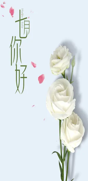 唯美玫瑰七月你好