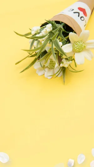 阳春时节五月你好