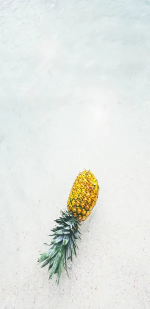 夏日清凉七月你好