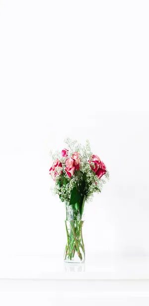 唯美花瓶七月你好