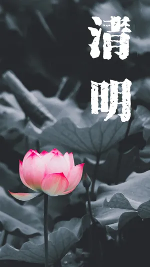 简约水墨风清明节插画