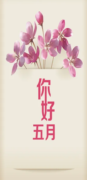 极简五月夏天五月你好