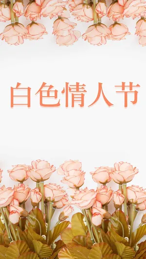 清新简约白色情人节