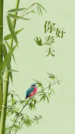 春天你好清新竹子插画