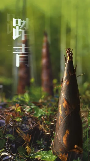 小清新春季踏青第1张