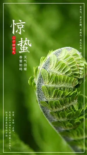 二十四惊蛰节气