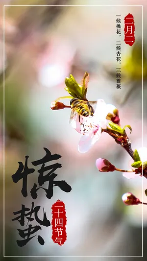 小清新二十四节气惊蛰