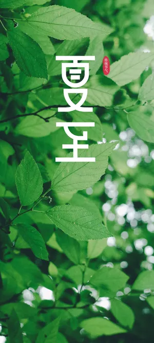 传统节气夏至清新锁屏
