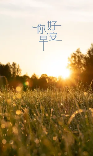 早上好最新图片